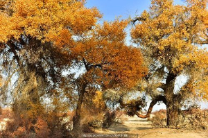 传奇游戏玩家的真实现在